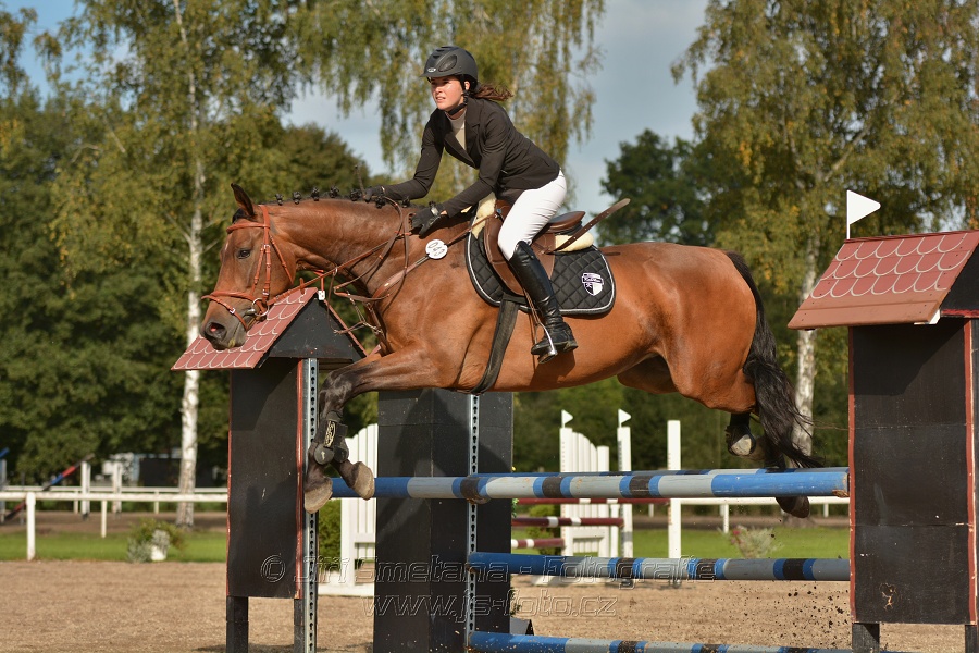 Skoková soutěž st. „Z“, Finále ZČJT 2014 - děti