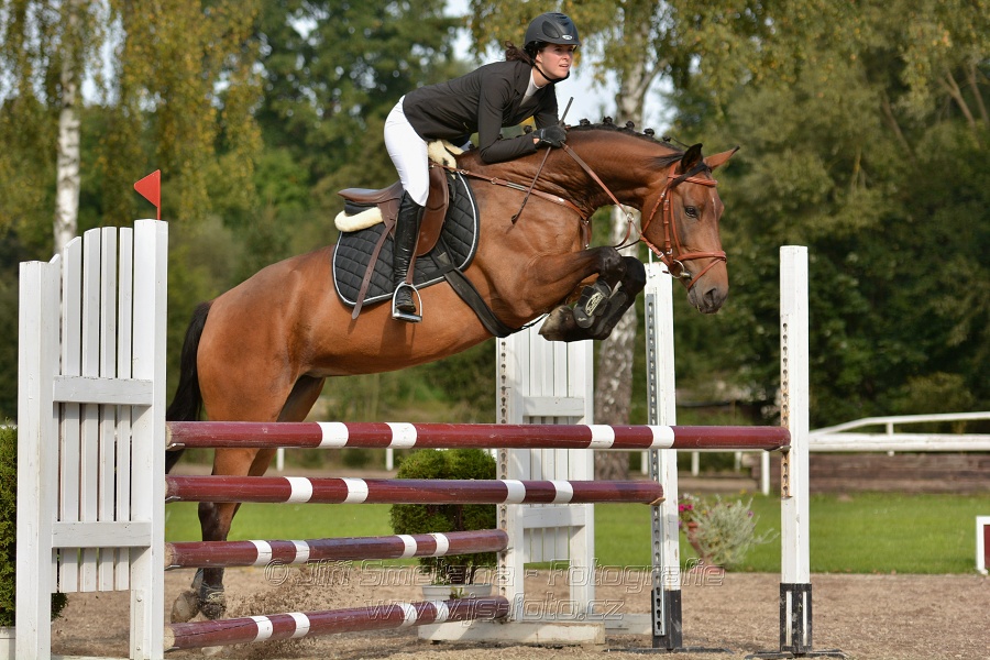 Skoková soutěž st. „Z“, Finále ZČJT 2014 - děti