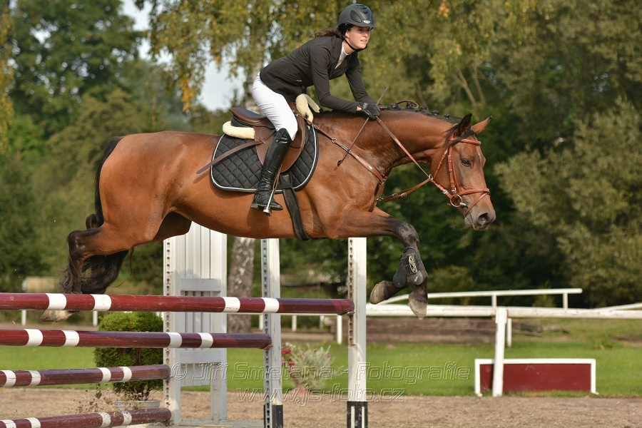 Skoková soutěž st. „Z“, Finále ZČJT 2014 - děti