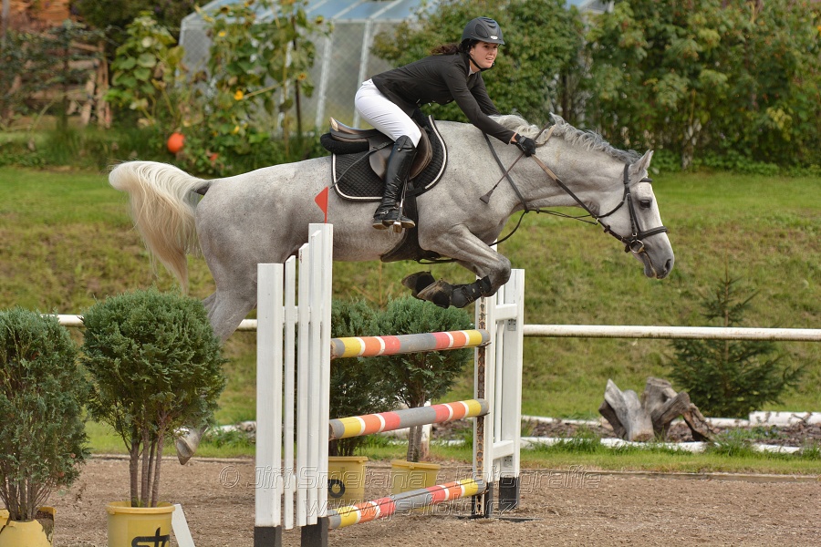 Skoková soutěž st. „ZL“, Finále ZČJT 2014 - junioři