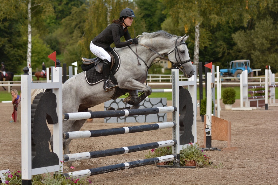 Skoková soutěž st. „ZL“, Finále ZČJT 2014 - junioři