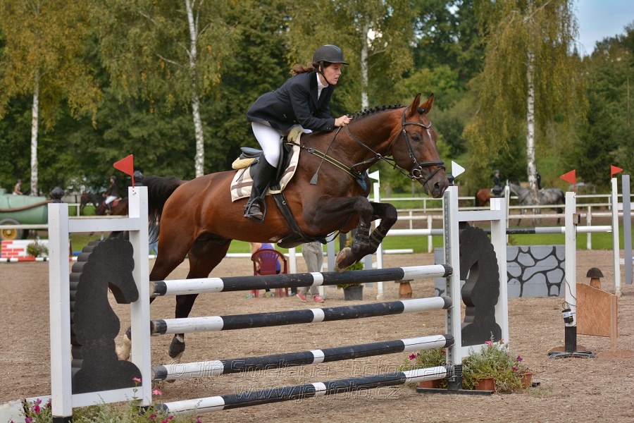 Skoková soutěž st. „ZL“, Finále ZČJT 2014 - junioři