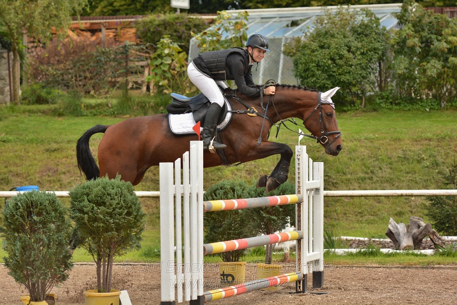 Skoková soutěž st. „ZL“, Finále ZČJT 2014 - junioři