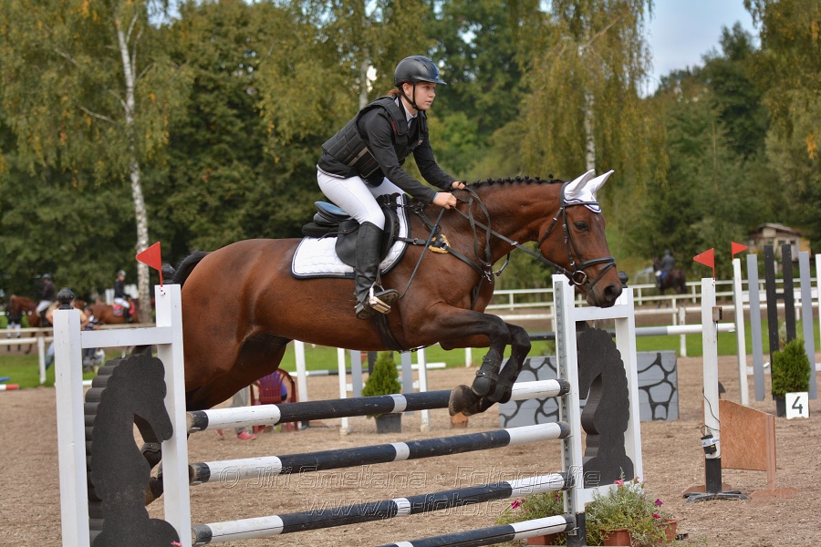 Skoková soutěž st. „ZL“, Finále ZČJT 2014 - junioři