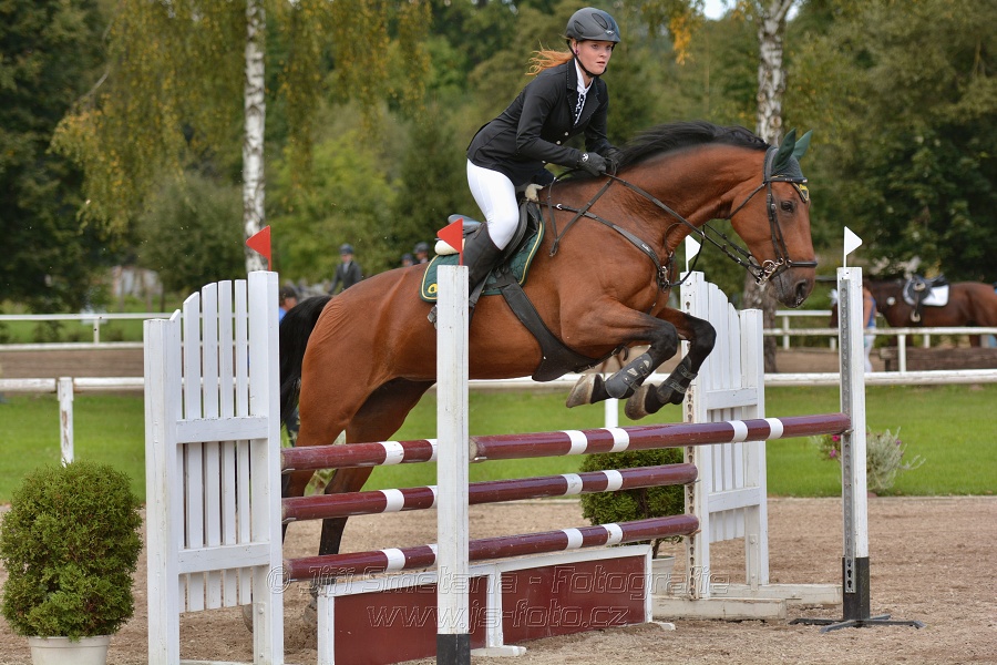 Skoková soutěž st. „ZL“, Finále ZČJT 2014 - junioři