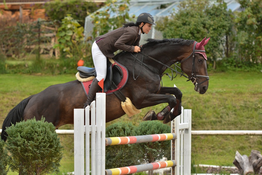 Skoková soutěž st. „ZL“, Finále ZČJT 2014 - junioři