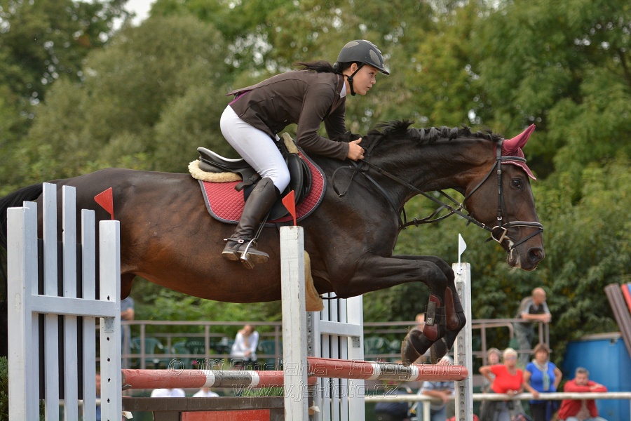 Skoková soutěž st. „ZL“, Finále ZČJT 2014 - junioři