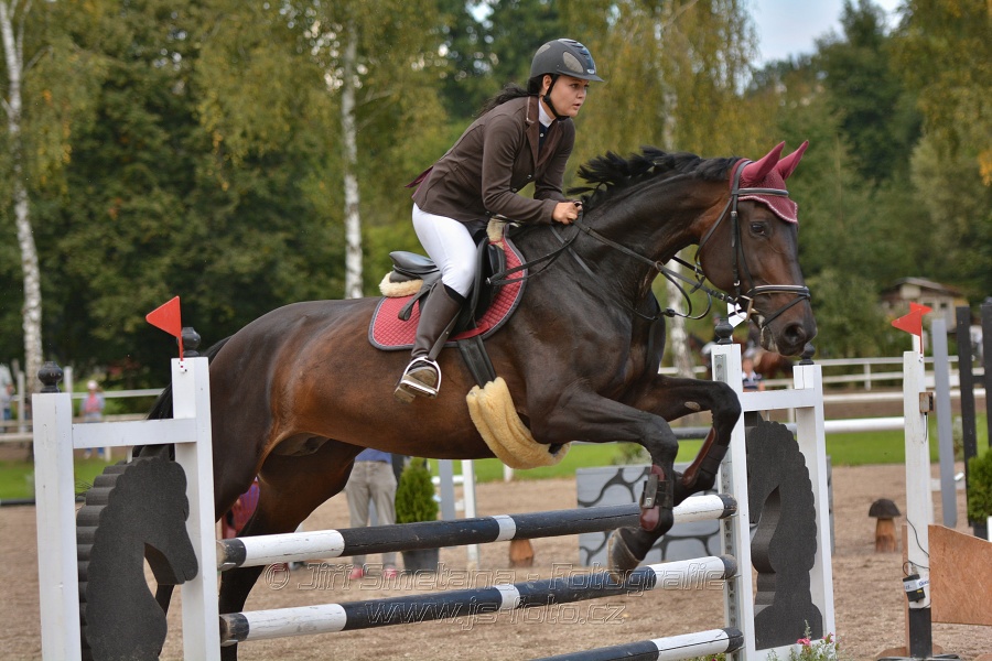 Skoková soutěž st. „ZL“, Finále ZČJT 2014 - junioři