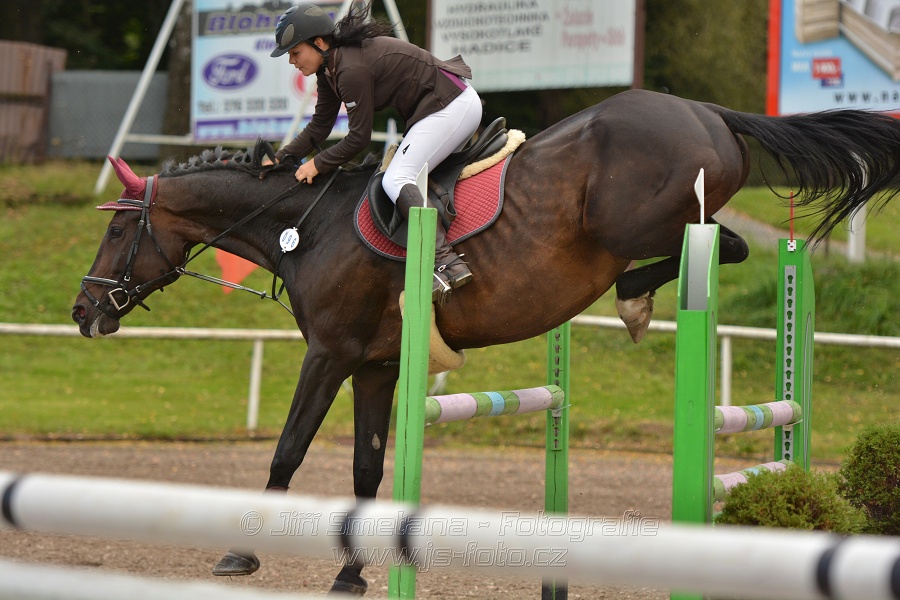 Skoková soutěž st. „ZL“, Finále ZČJT 2014 - junioři