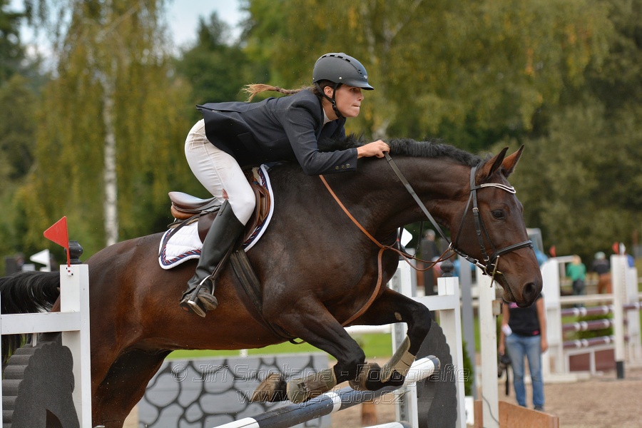 Skoková soutěž st. „ZL“, Finále ZČJT 2014 - junioři