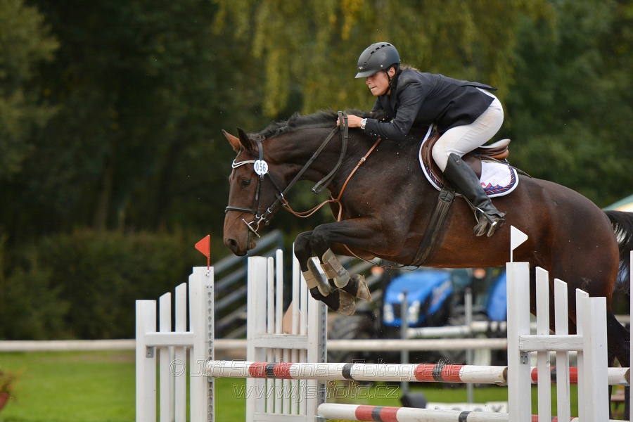 Skoková soutěž st. „ZL“, Finále ZČJT 2014 - junioři