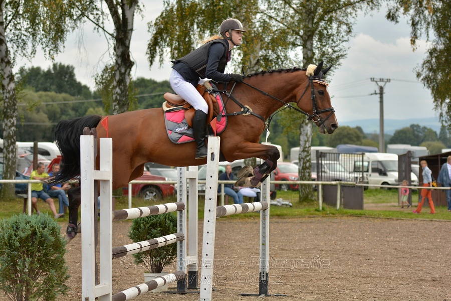 Skoková soutěž st. „ZL“, Finále ZČJT 2014 - junioři