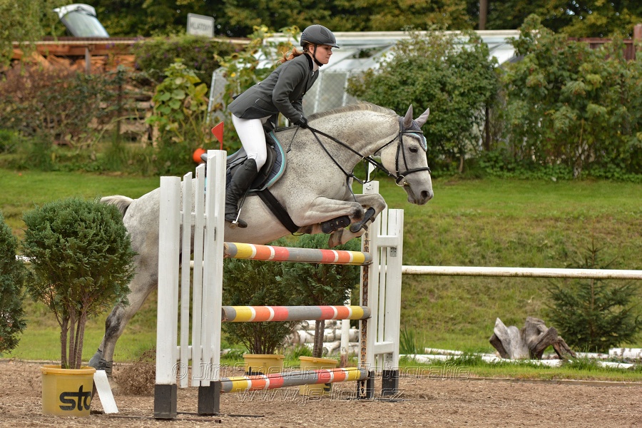 Skoková soutěž st. „ZL“, Finále ZČJT 2014 - junioři