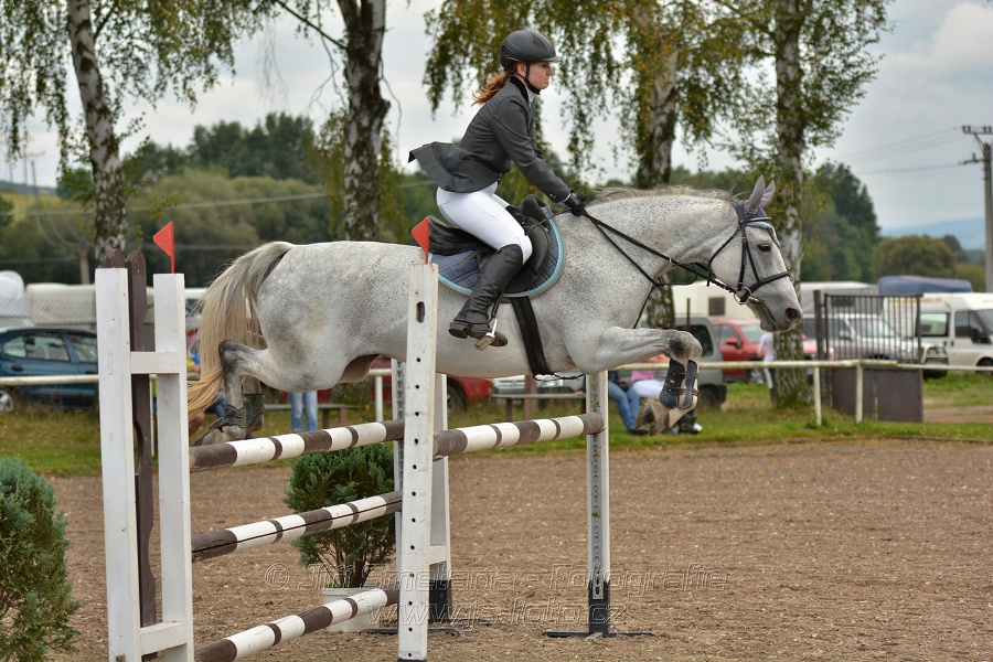 Skoková soutěž st. „ZL“, Finále ZČJT 2014 - junioři