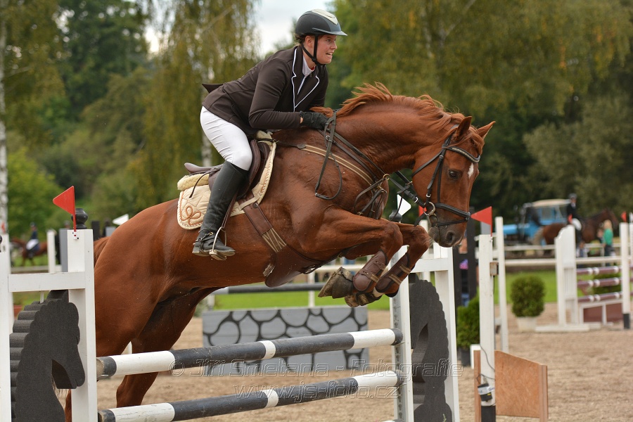 Skoková soutěž st. „ZL“, Finále ZČJT 2014 - junioři