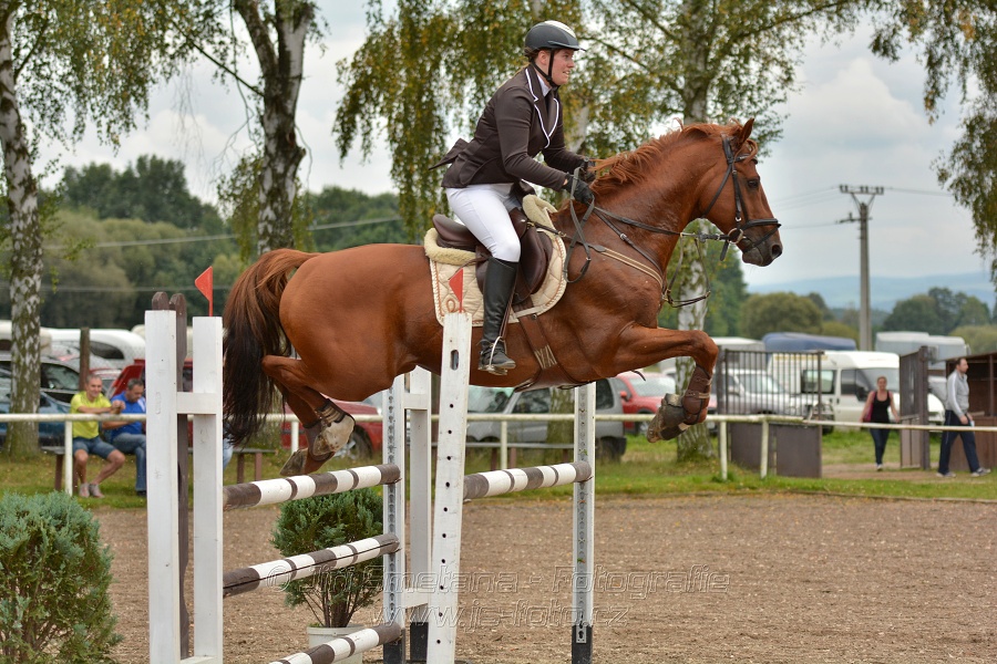 Skoková soutěž st. „ZL“, Finále ZČJT 2014 - junioři