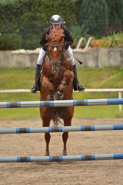 Skoková soutěž st. „ZL“, Finále ZČJT 2014 - junioři