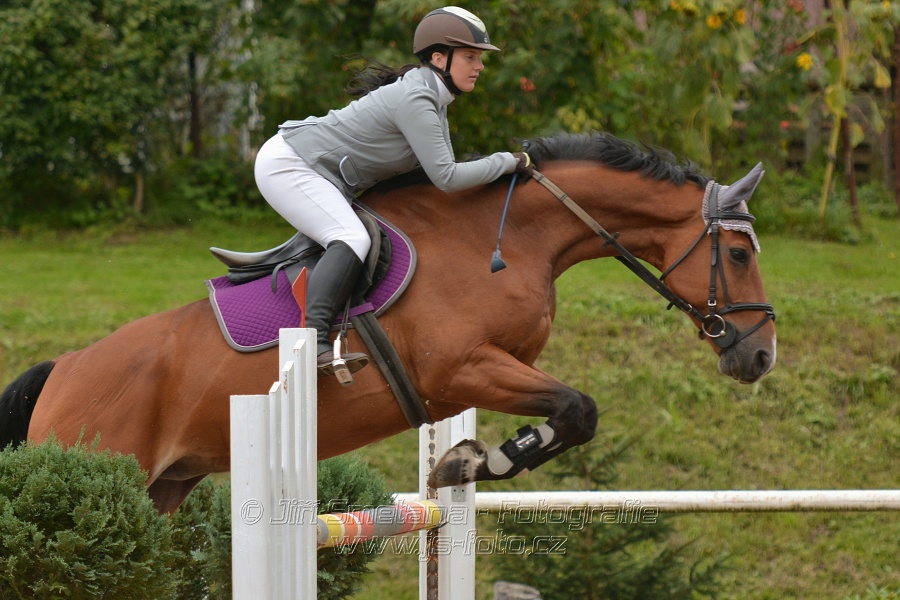 Skoková soutěž st. „ZL“, Finále ZČJT 2014 - junioři