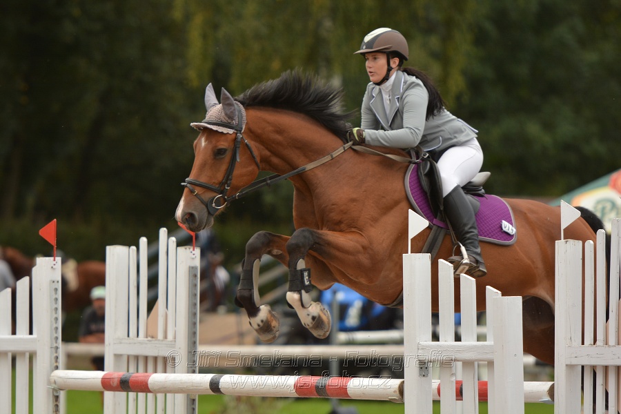 Skoková soutěž st. „ZL“, Finále ZČJT 2014 - junioři