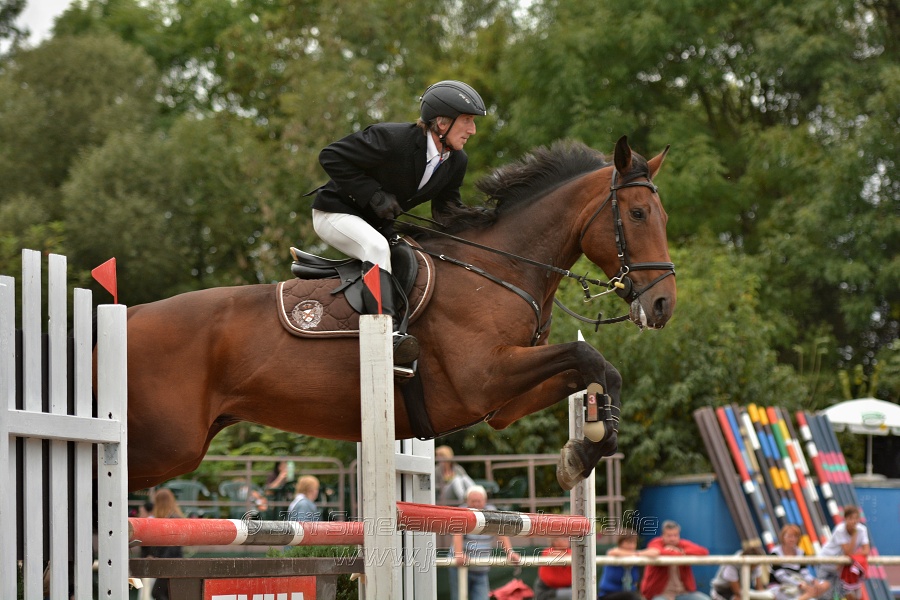 Skoková soutěž st. „ZL“, Finále ZČJT 2014 - junioři