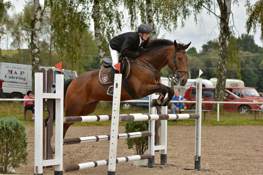 Skoková soutěž st. „ZL“, Finále ZČJT 2014 - junioři