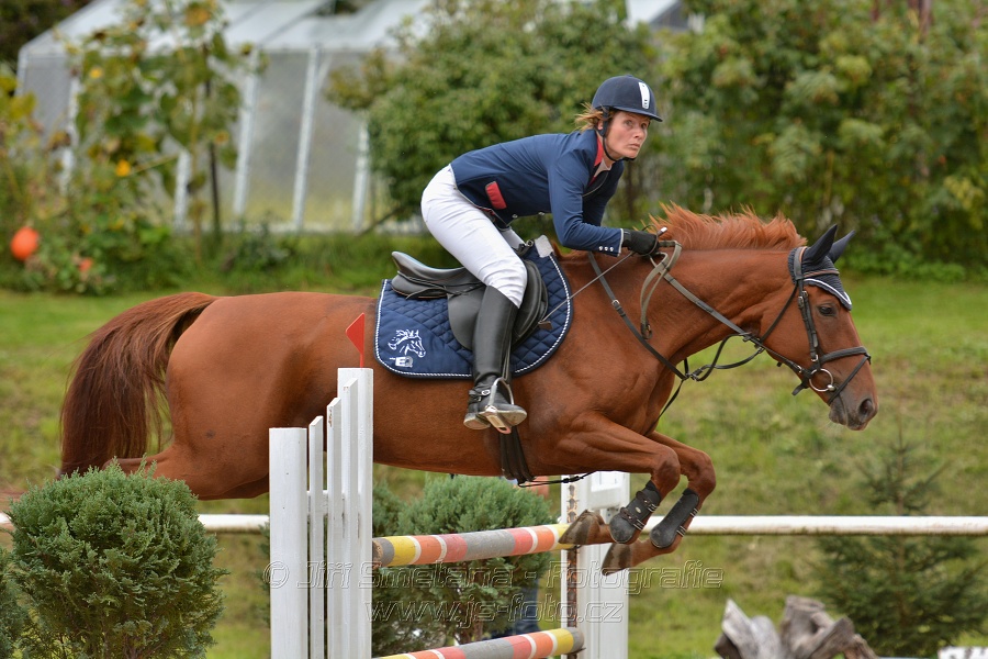 Skoková soutěž st. „ZL“, Finále ZČJT 2014 - junioři