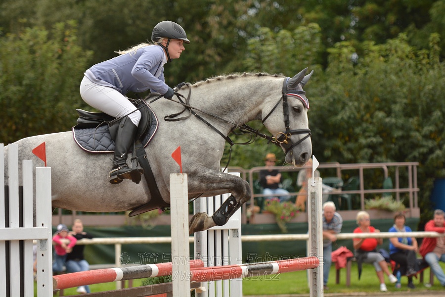 Skoková soutěž st. „ZL“, Finále ZČJT 2014 - junioři