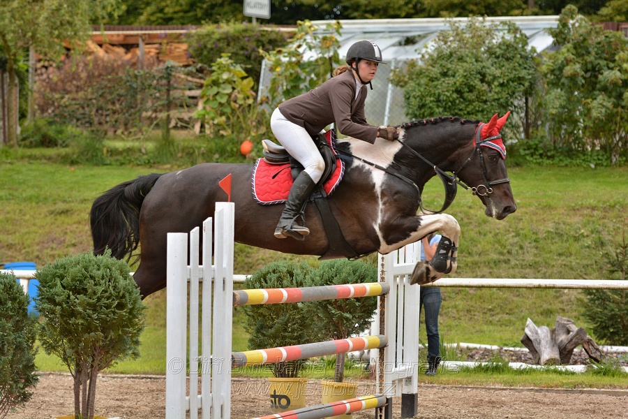 Skoková soutěž st. „ZL“, Finále ZČJT 2014 - junioři