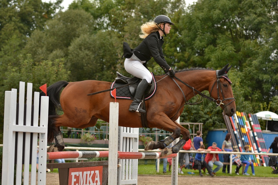 Skoková soutěž st. „ZL“, Finále ZČJT 2014 - junioři