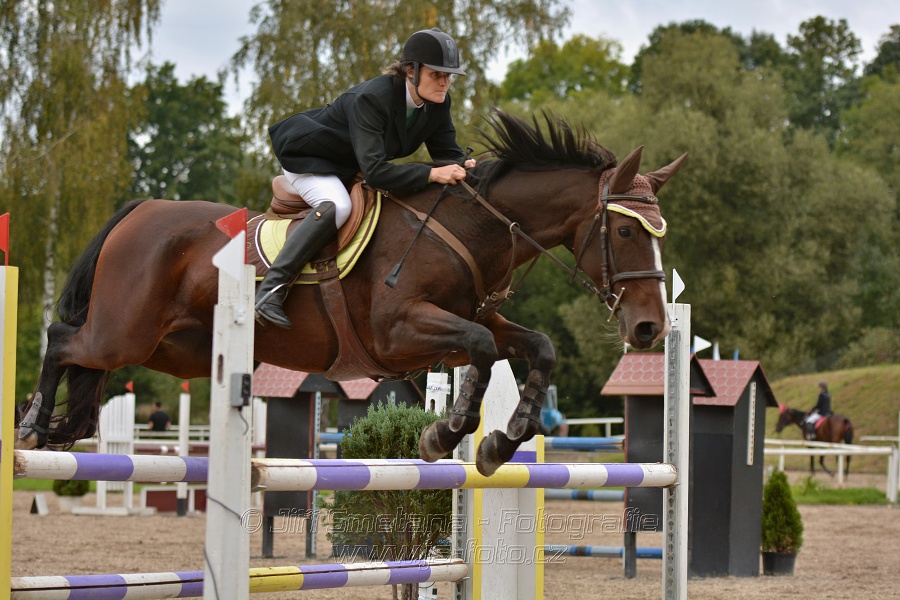 Skoková soutěž st. „ZL“, Finále ZČJT 2014 - junioři