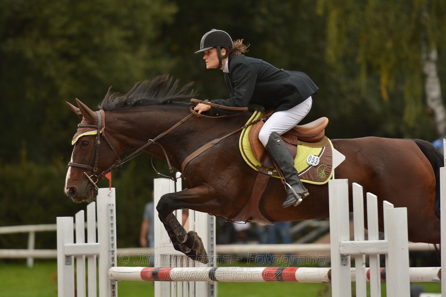 Skoková soutěž st. „ZL“, Finále ZČJT 2014 - junioři