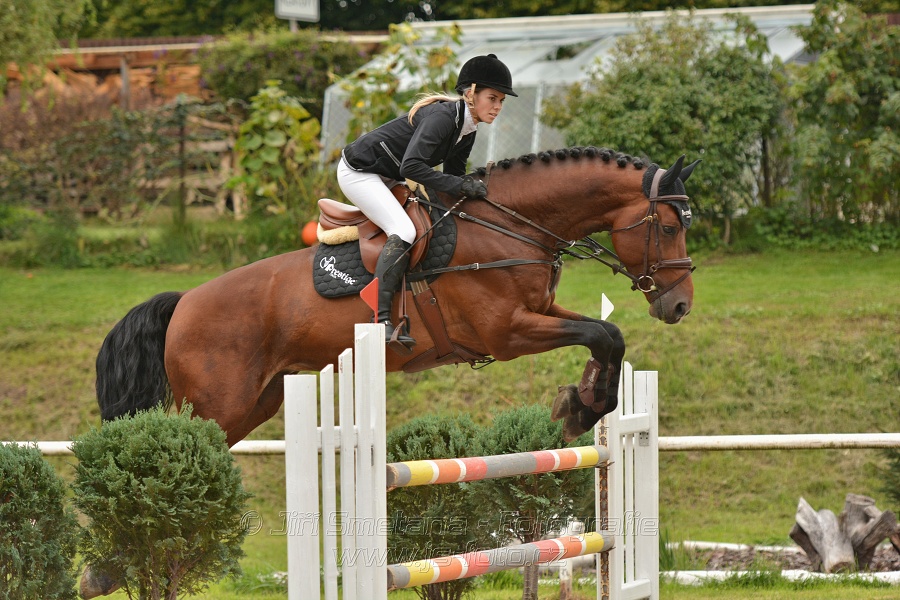 Skoková soutěž st. „ZL“, Finále ZČJT 2014 - junioři