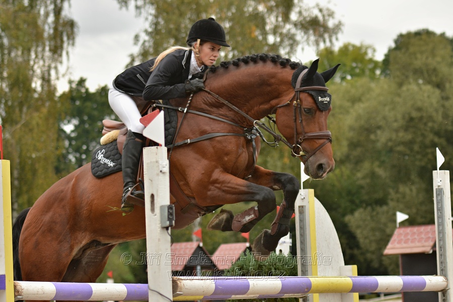 Skoková soutěž st. „ZL“, Finále ZČJT 2014 - junioři