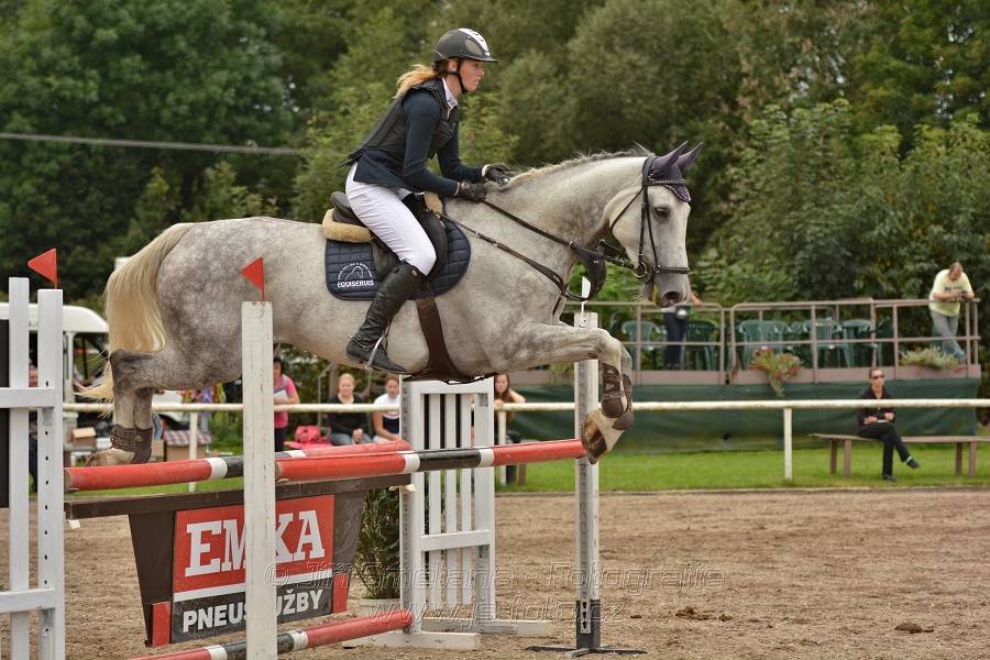 Skoková soutěž st. „ZL“, Finále ZČJT 2014 - junioři