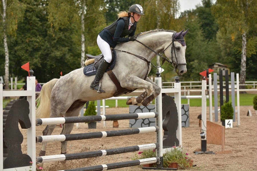 Skoková soutěž st. „ZL“, Finále ZČJT 2014 - junioři