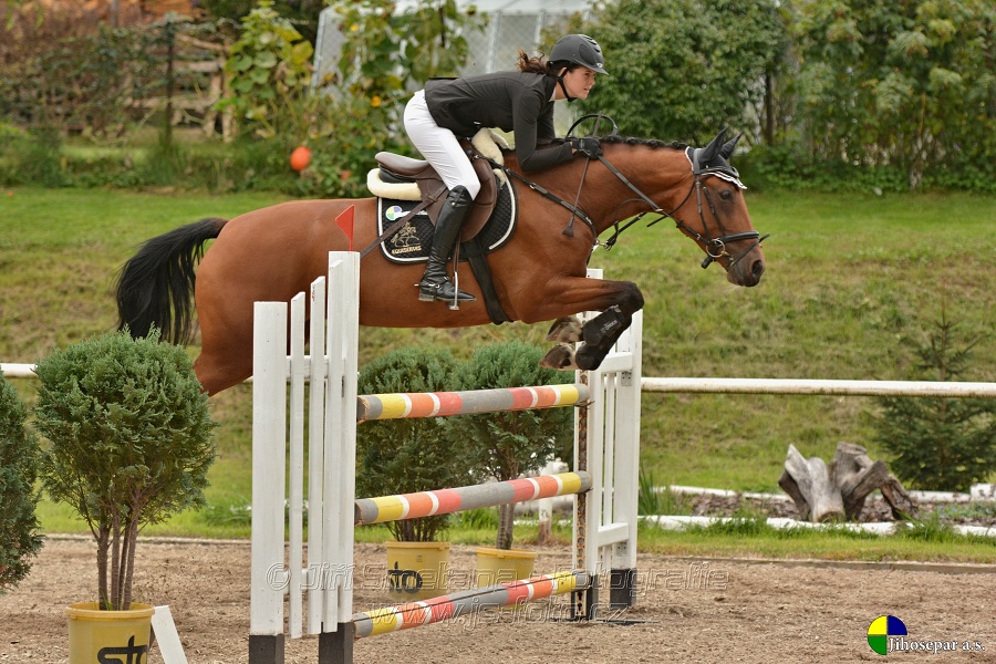 Skoková soutěž st. „ZL“, Finále ZČJT 2014 - junioři