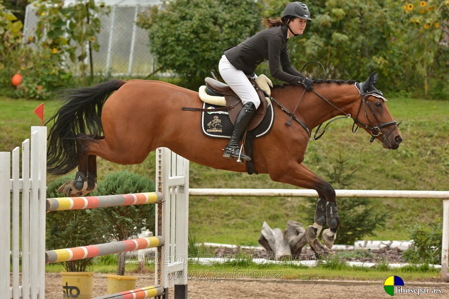 Skoková soutěž st. „ZL“, Finále ZČJT 2014 - junioři