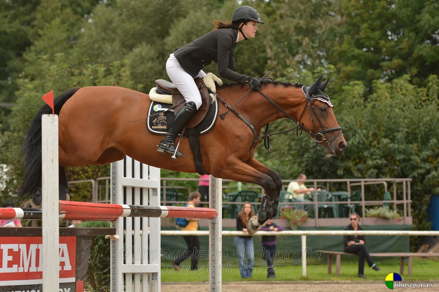 Skoková soutěž st. „ZL“, Finále ZČJT 2014 - junioři