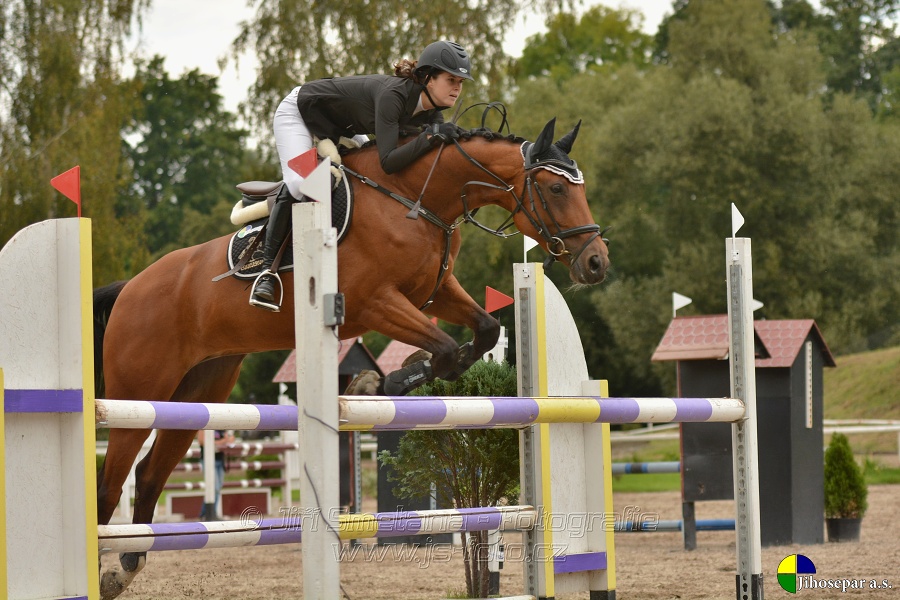 Skoková soutěž st. „ZL“, Finále ZČJT 2014 - junioři
