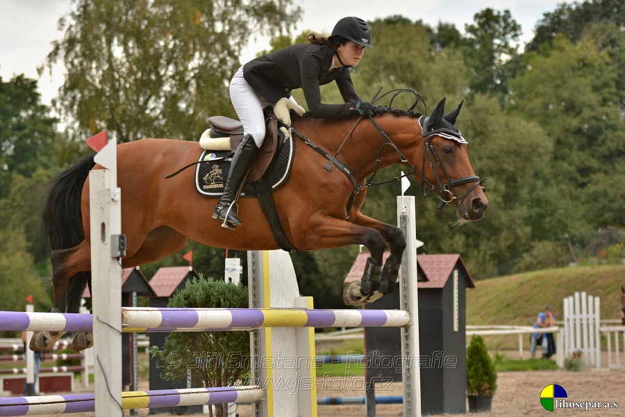 Skoková soutěž st. „ZL“, Finále ZČJT 2014 - junioři