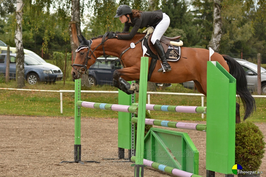 Skoková soutěž st. „ZL“, Finále ZČJT 2014 - junioři