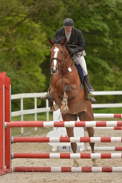 Skoková soutěž st. Z, na limitovaný čas