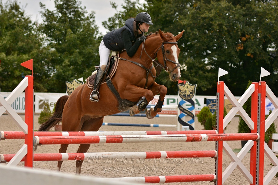 Skoková soutěž - dvoufázové skákání 110/115 cm