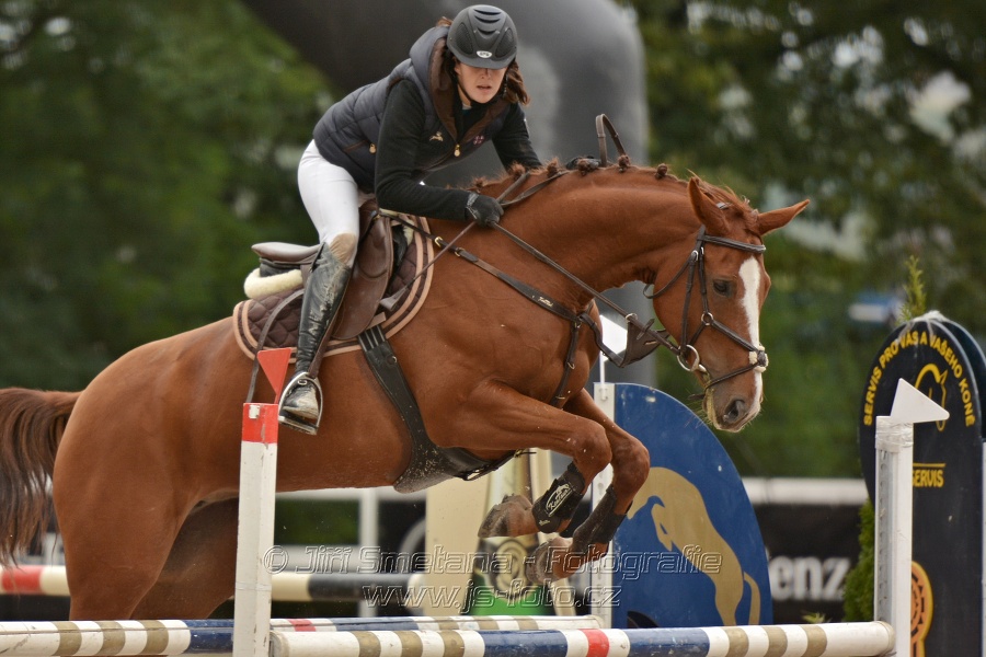 Skoková soutěž - dvoufázové skákání 110/115 cm