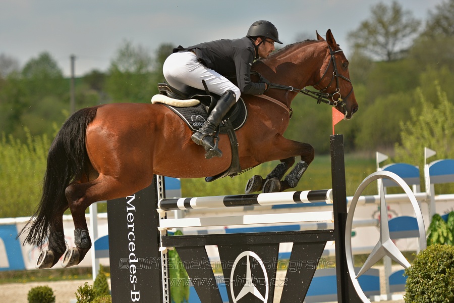 Velká cena Martinic 2014, Skoková soutěž st. 