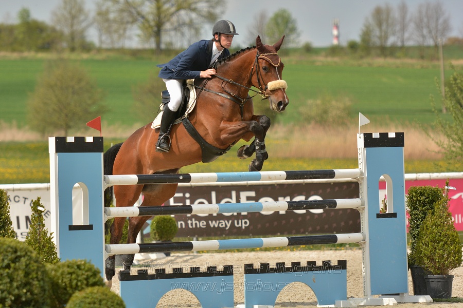 Velká cena Martinic 2014, Skoková soutěž st. 