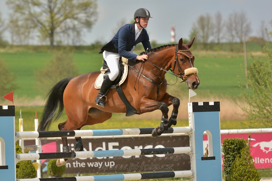 Velká cena Martinic 2014, Skoková soutěž st. 