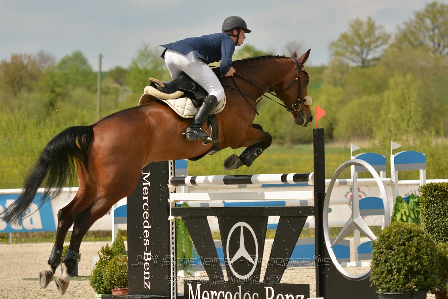 Velká cena Martinic 2014, Skoková soutěž st. 