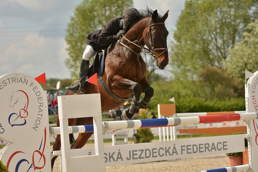 Velká cena Martinic 2014, Skoková soutěž st. 