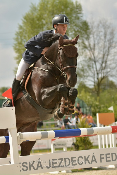 Velká cena Martinic 2014, Skoková soutěž st. 